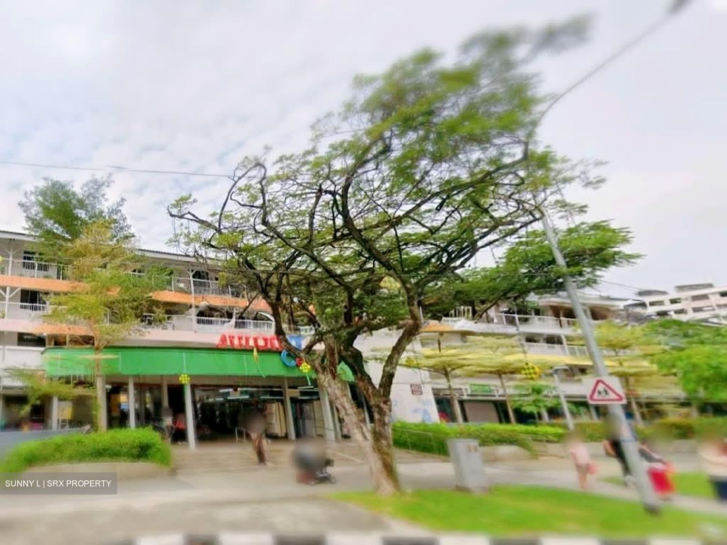 Hong Kah Ville (D22), Shop House #582650051